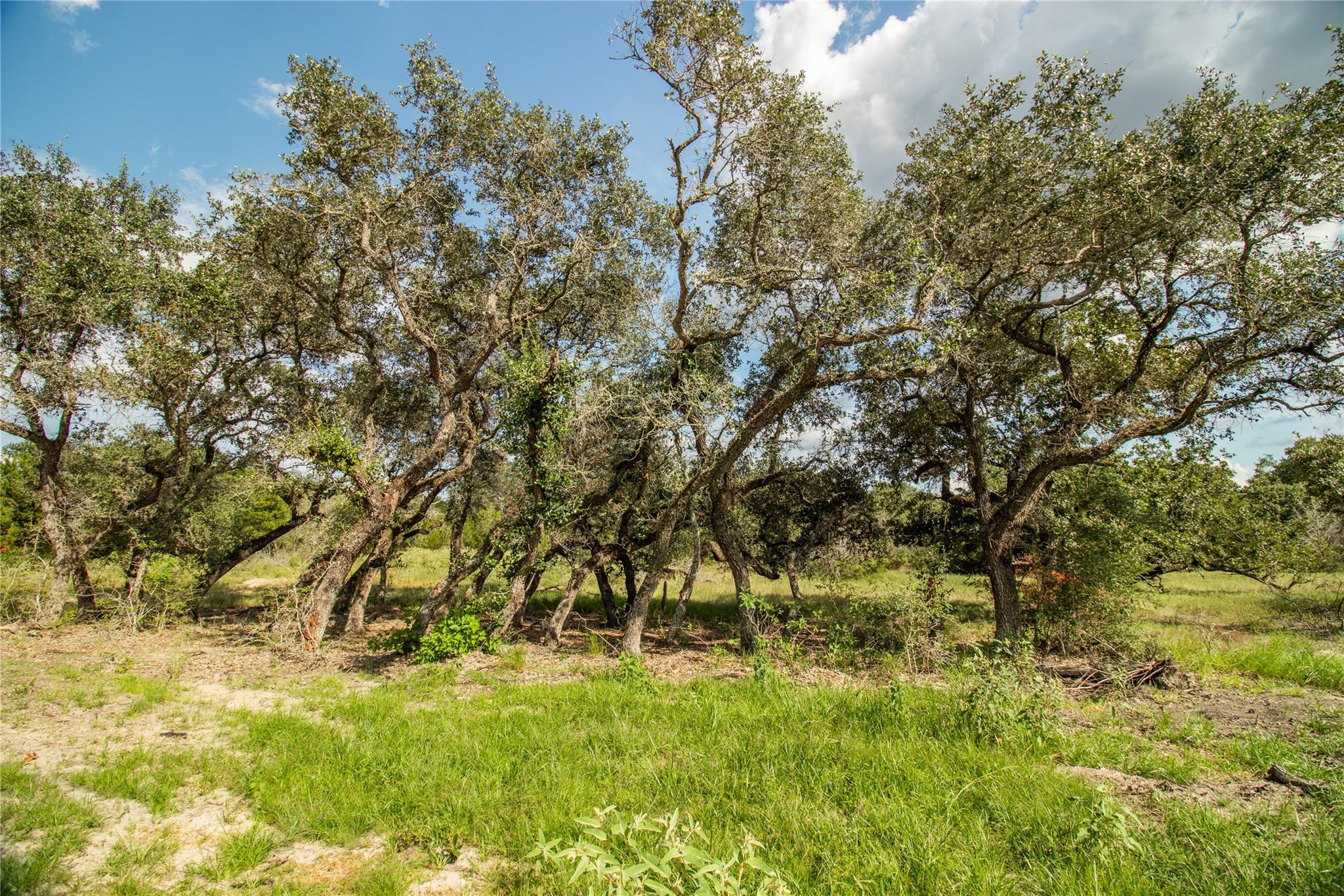002 County Road 15, Hallettsville, TX 77964