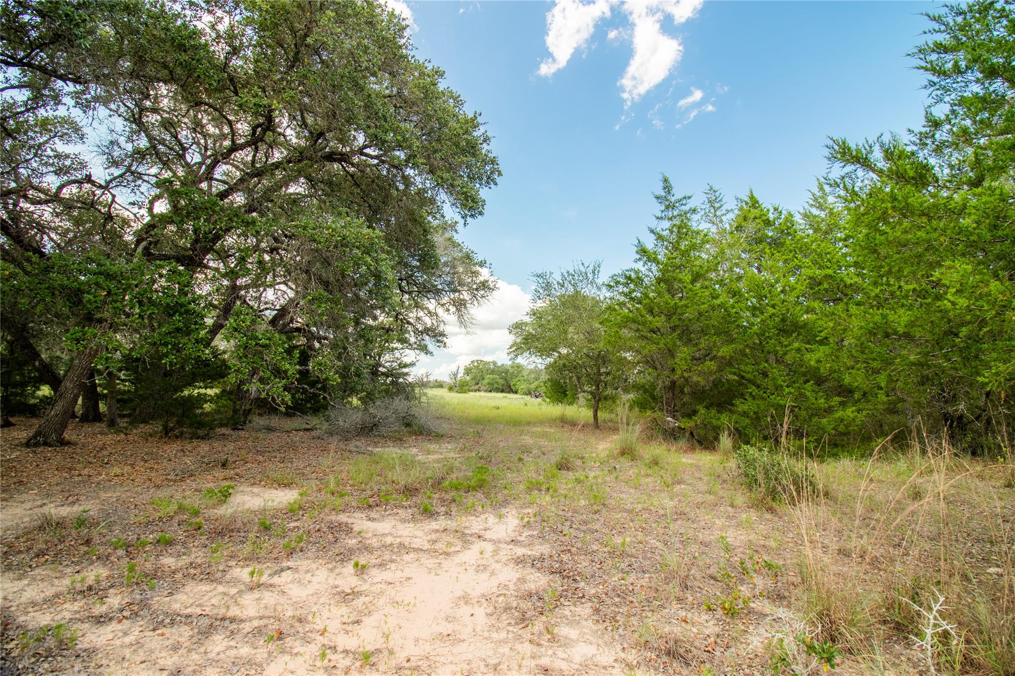 002 County Road 15, Hallettsville, TX 77964