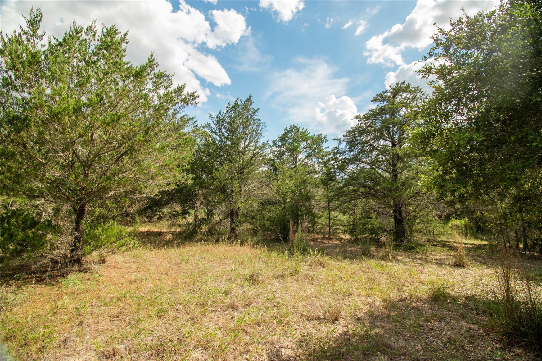 002 County Road 15, Hallettsville, TX 77964