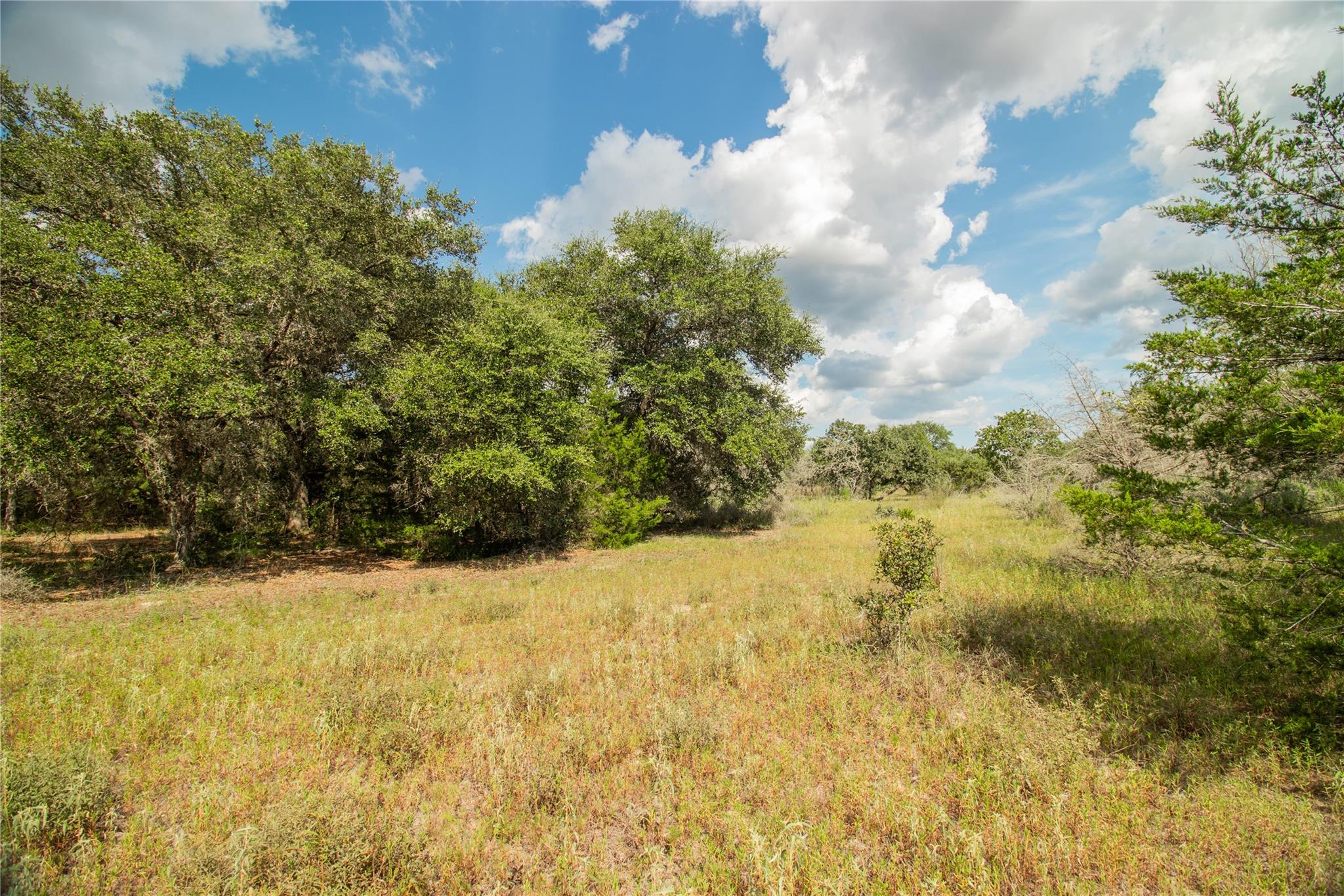 002 County Road 15, Hallettsville, TX 77964