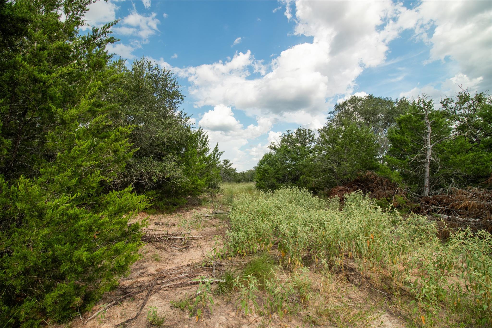 002 County Road 15, Hallettsville, TX 77964