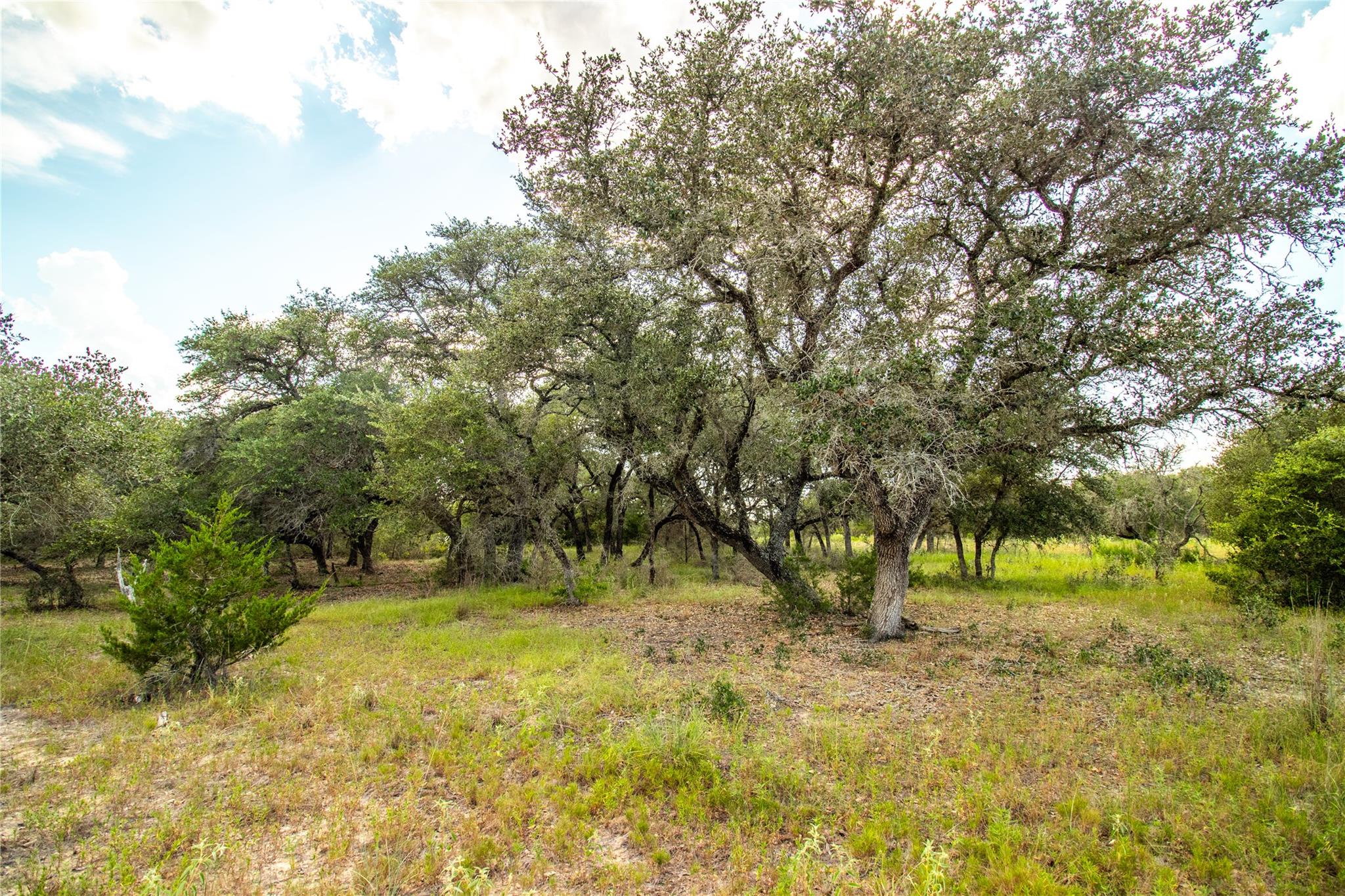 002 County Road 15, Hallettsville, TX 77964