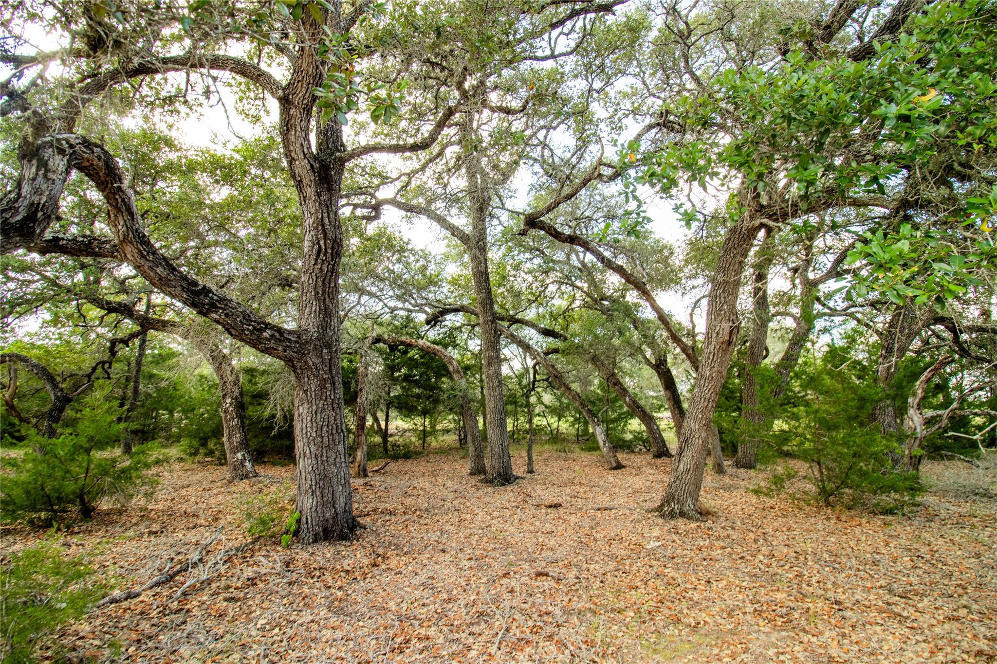 002 County Road 15, Hallettsville, TX 77964