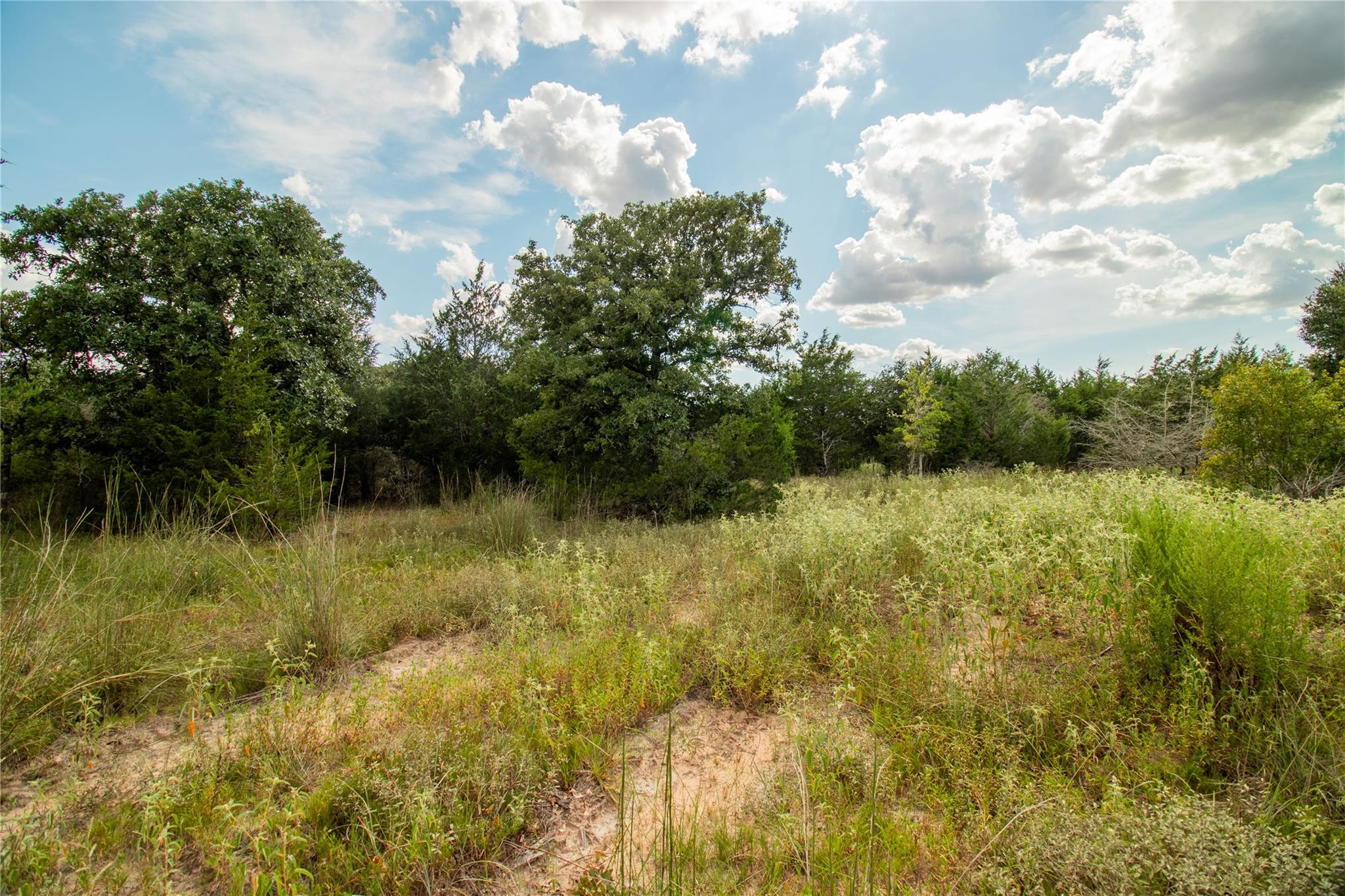 002 County Road 15, Hallettsville, TX 77964