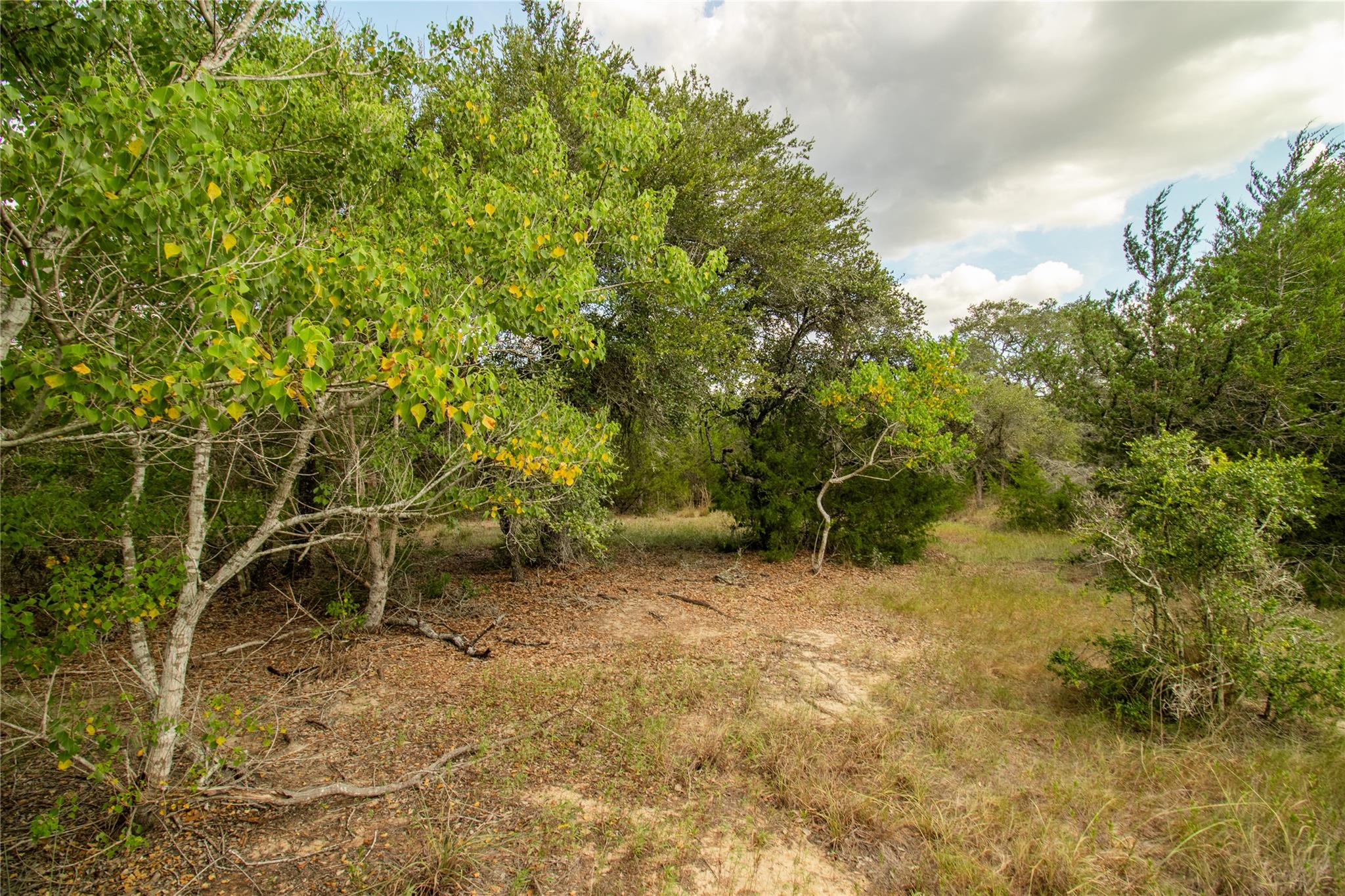 002 County Road 15, Hallettsville, TX 77964