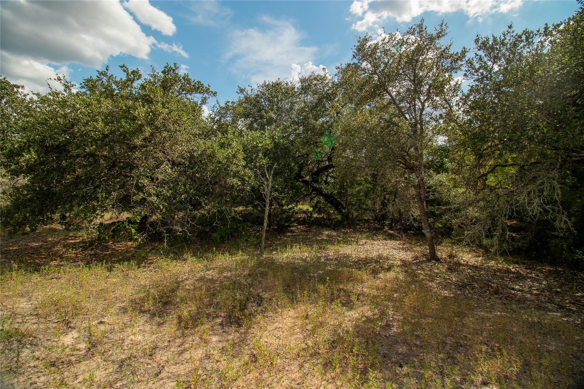 002 County Road 15, Hallettsville, TX 77964