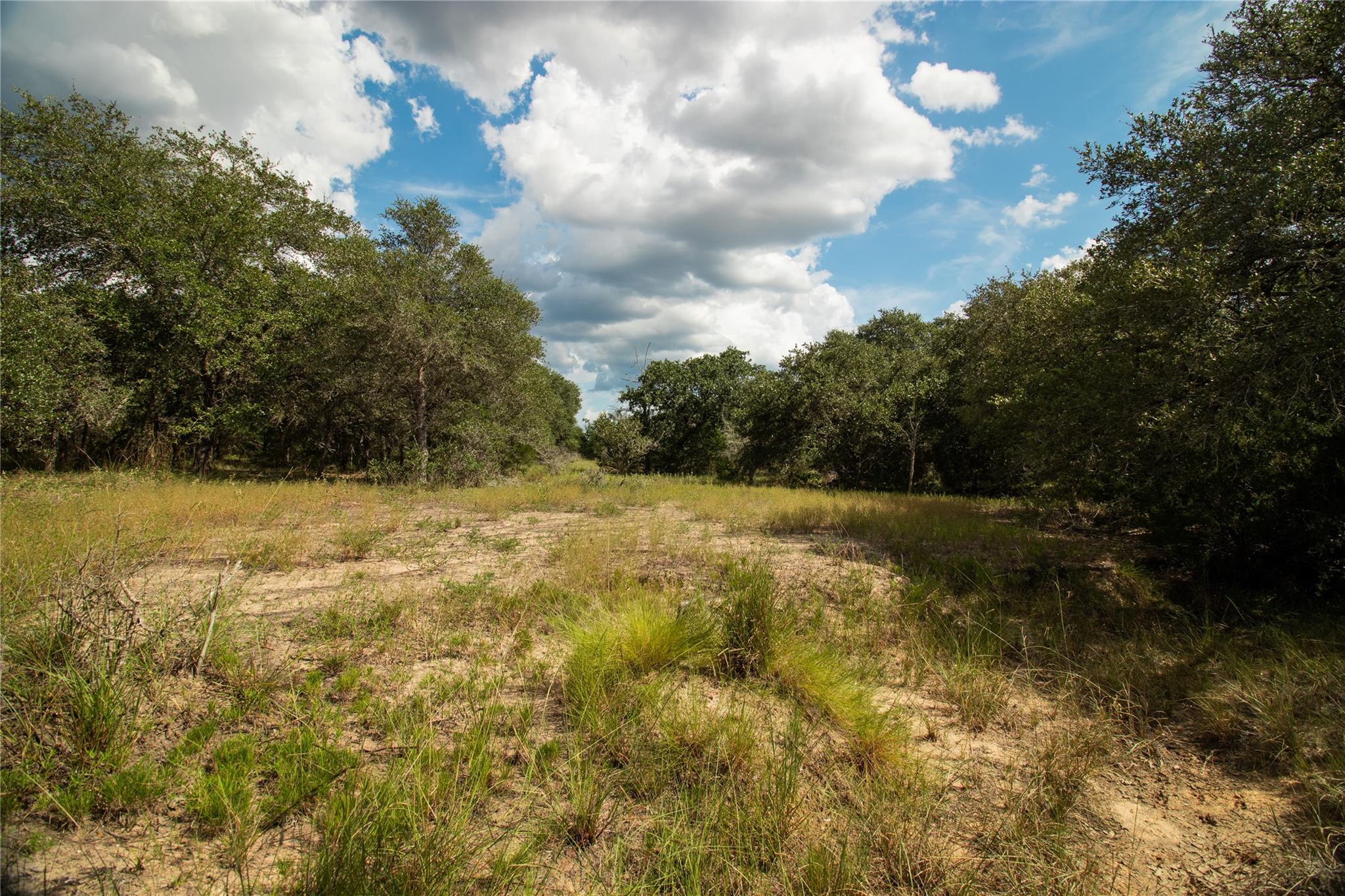 002 County Road 15, Hallettsville, TX 77964