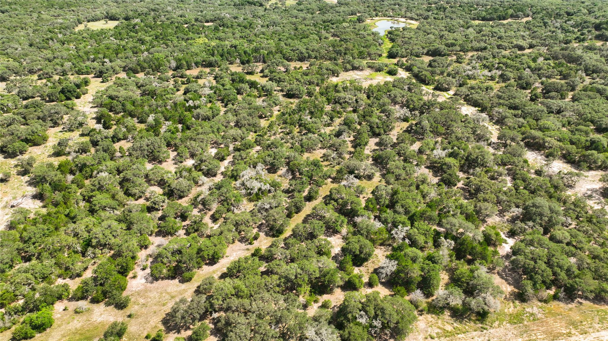002 County Road 15, Hallettsville, TX 77964