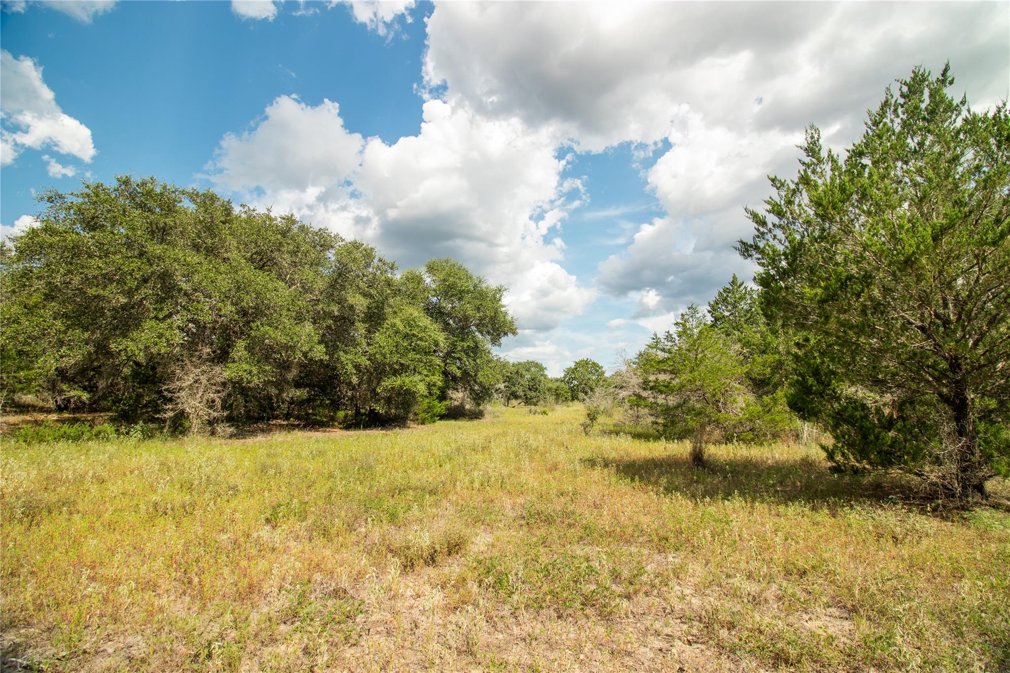 002 County Road 15, Hallettsville, TX 77964