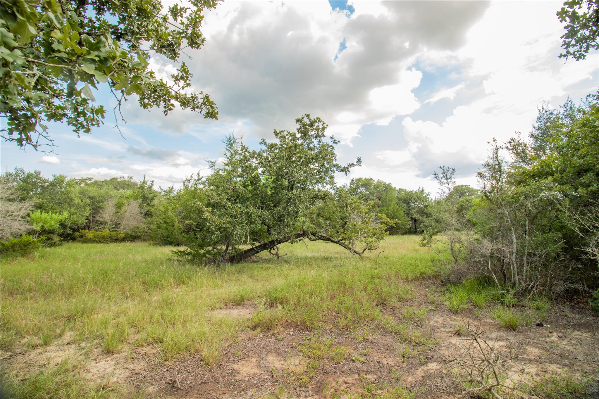 002 County Road 15, Hallettsville, TX 77964