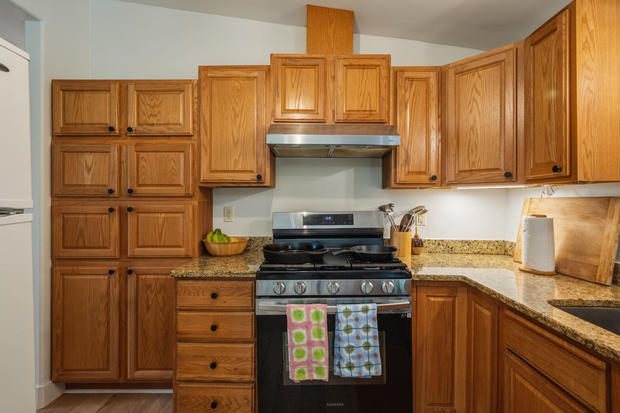 1413 S Redondo Dr, Austin, TX 78721