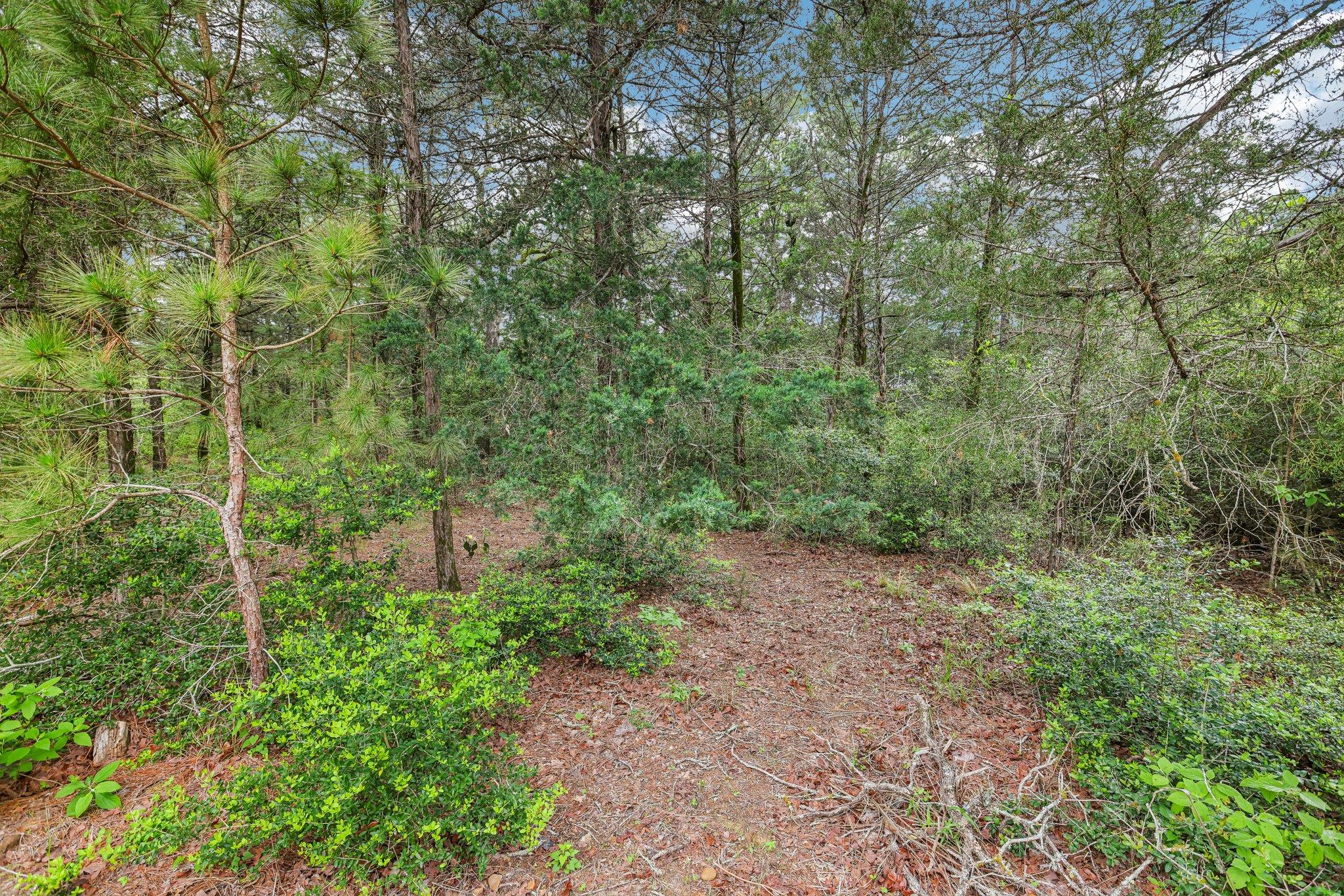 267 Corral Rd, Smithville, TX 78957