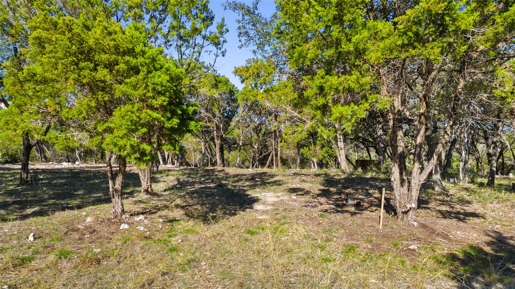 2 Martelli Ln, Austin, TX 78746