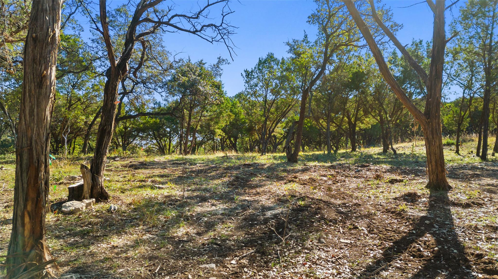 2 Martelli Ln, Austin, TX 78746
