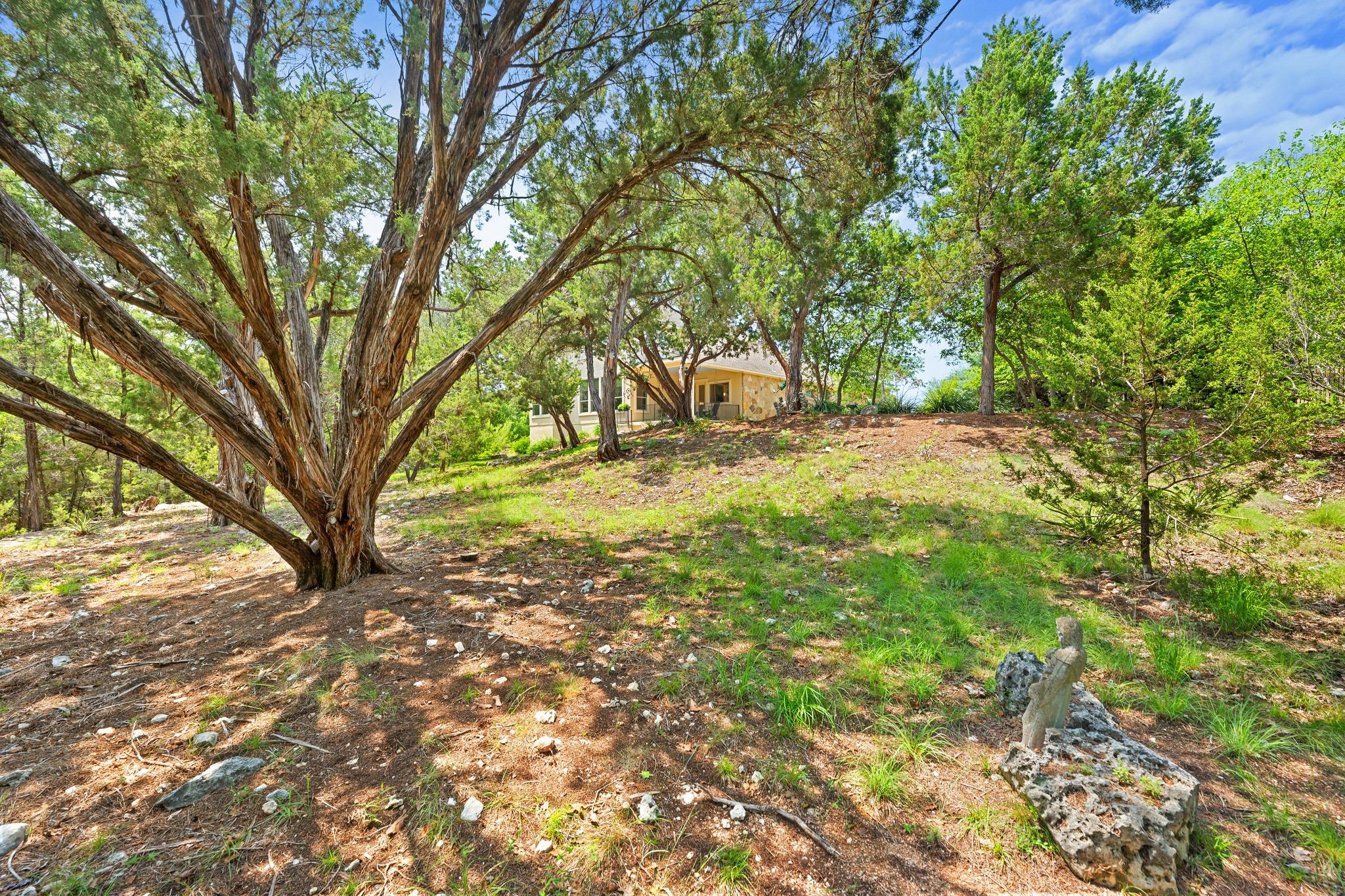 219 GREAT CANNON Ln, Austin, TX 78738
