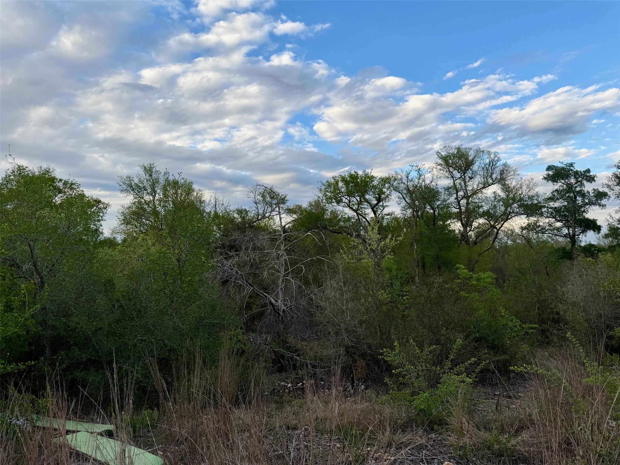 309 Oak Arbor Trl, Del Valle, TX 78617