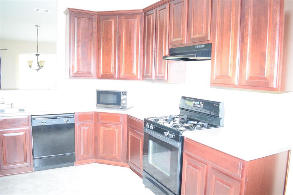 3688 Spring Canyon Trl, Round Rock, TX 78681