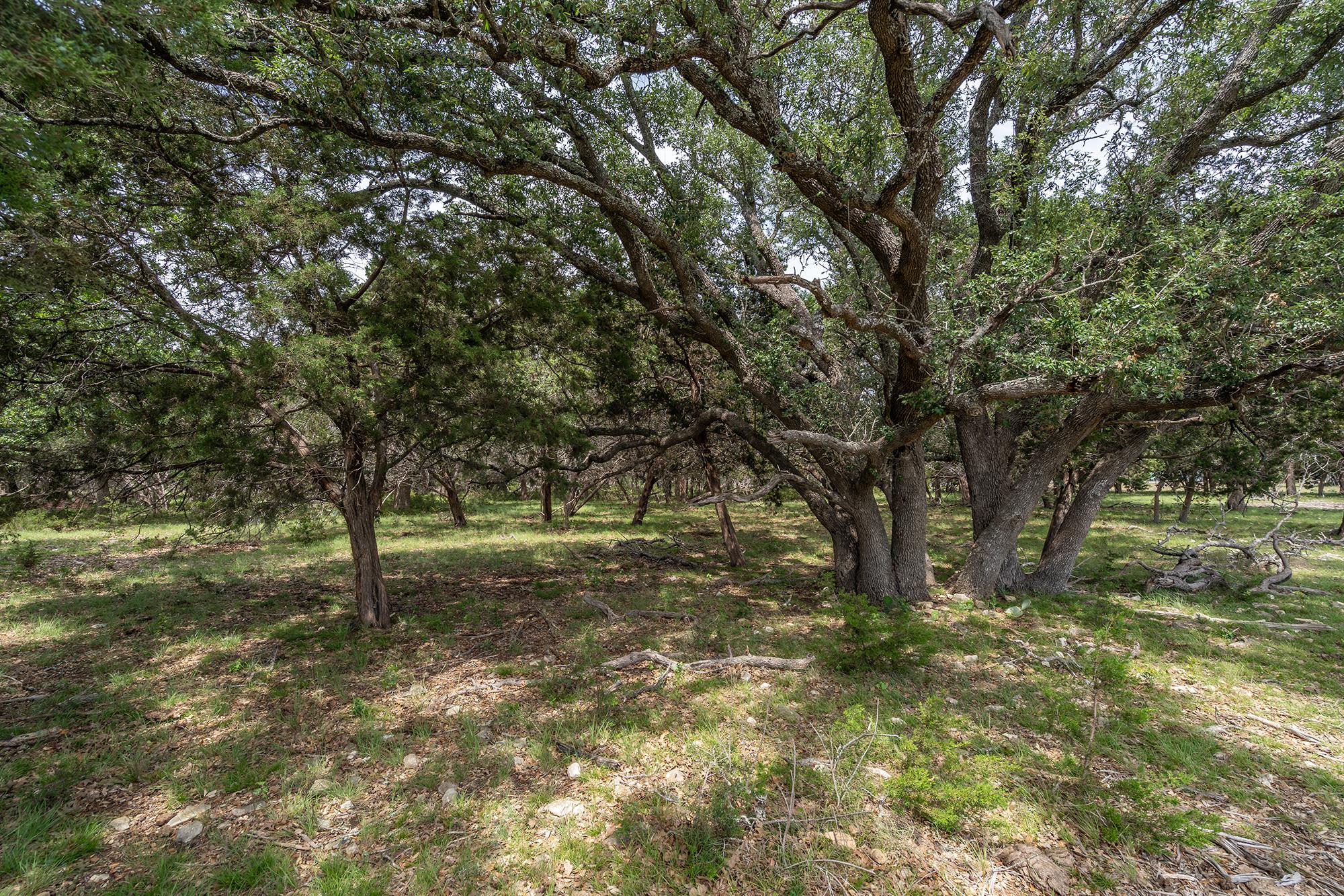 000 W St Hwy 29, Bertram, TX 78605