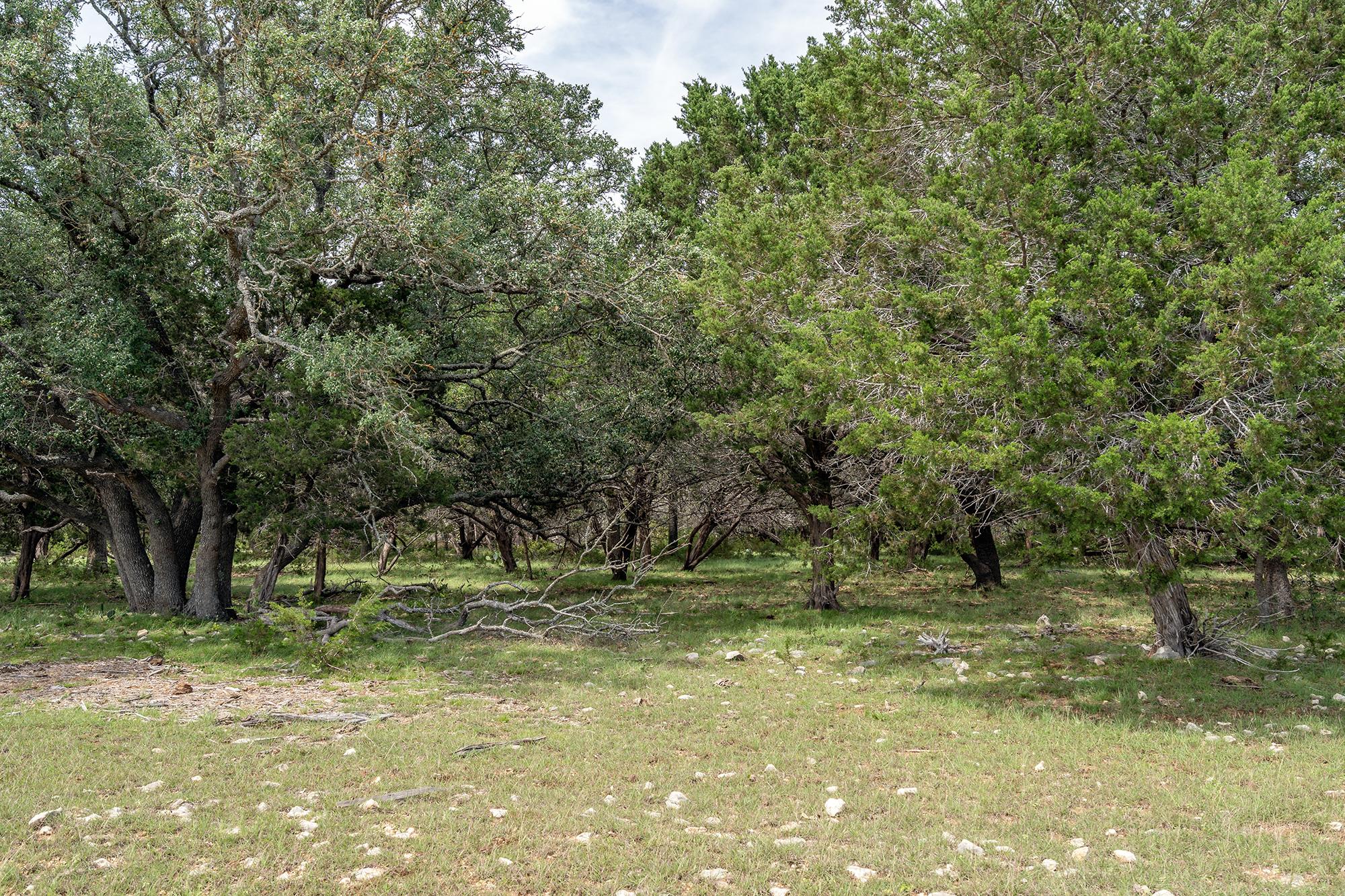 000 W St Hwy 29, Bertram, TX 78605