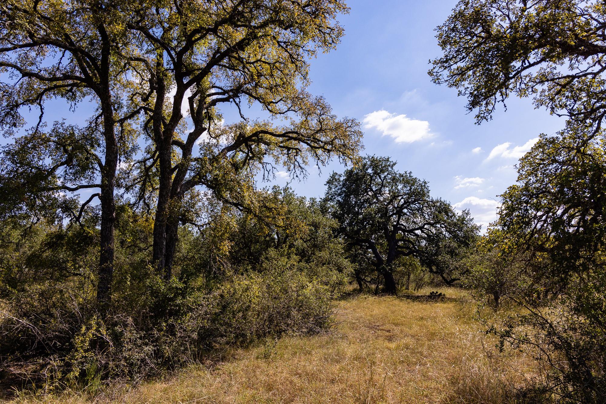 3551 RM 2325, Wimberley, TX 78676