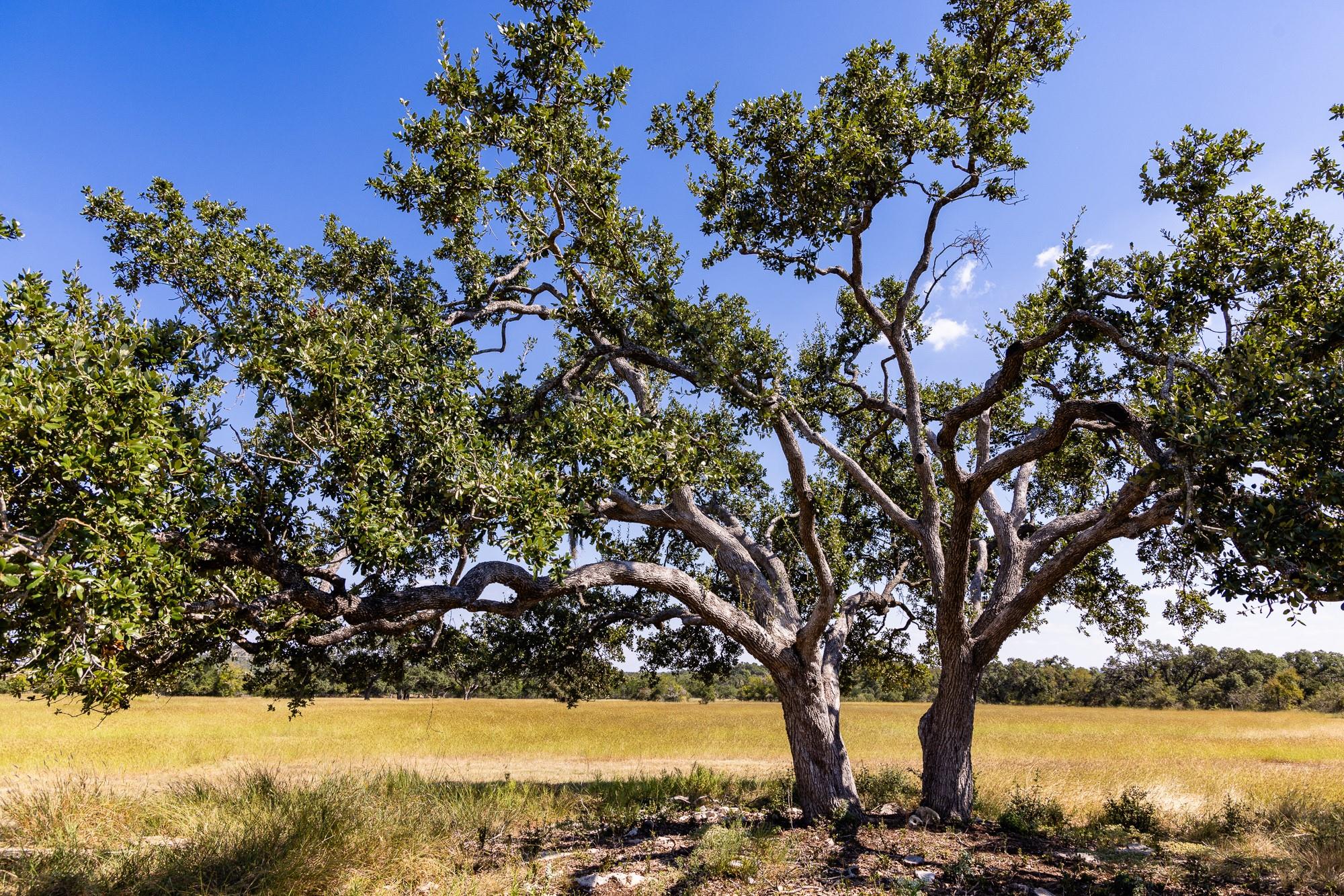 3551 RM 2325, Wimberley, TX 78676