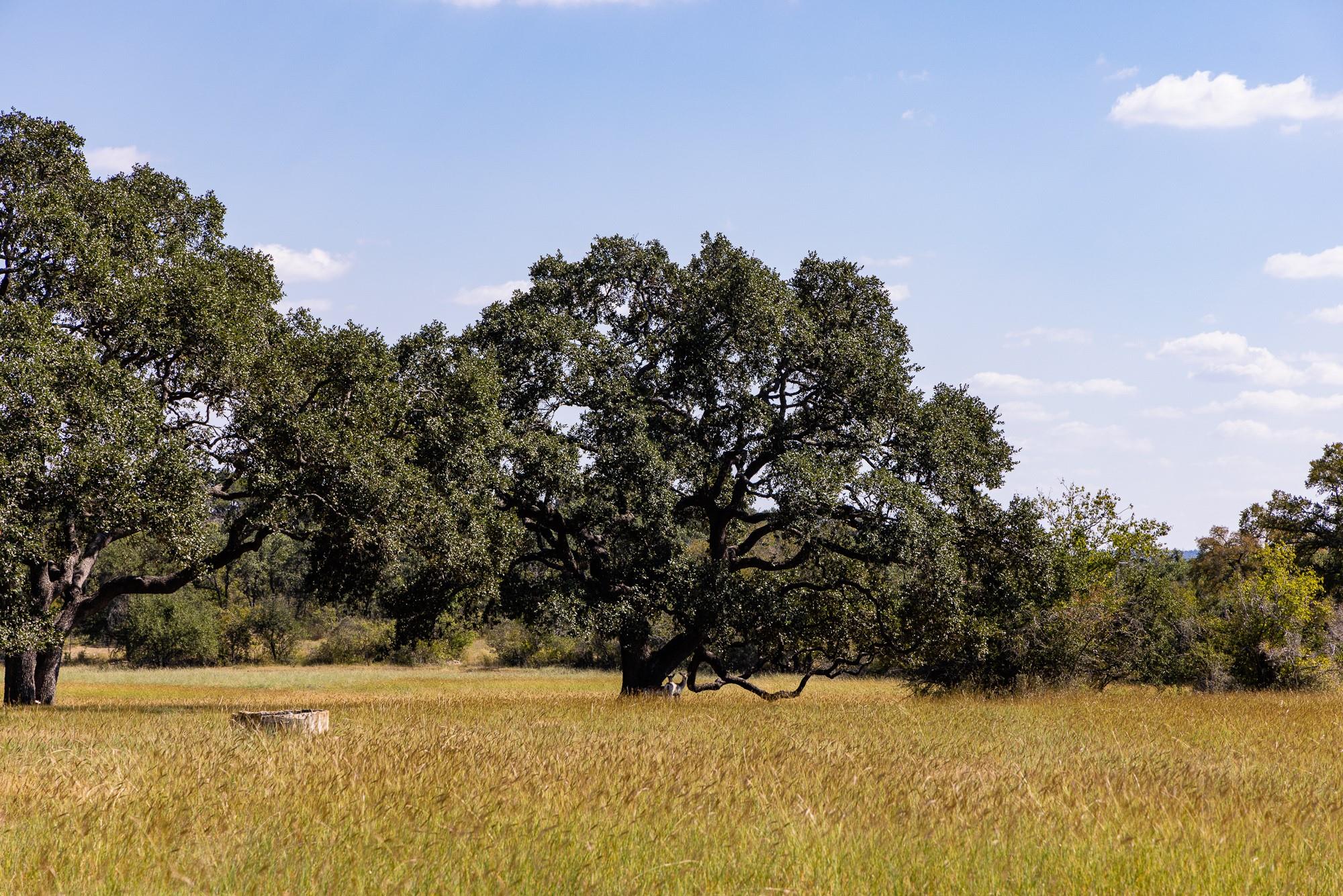 3551 RM 2325, Wimberley, TX 78676