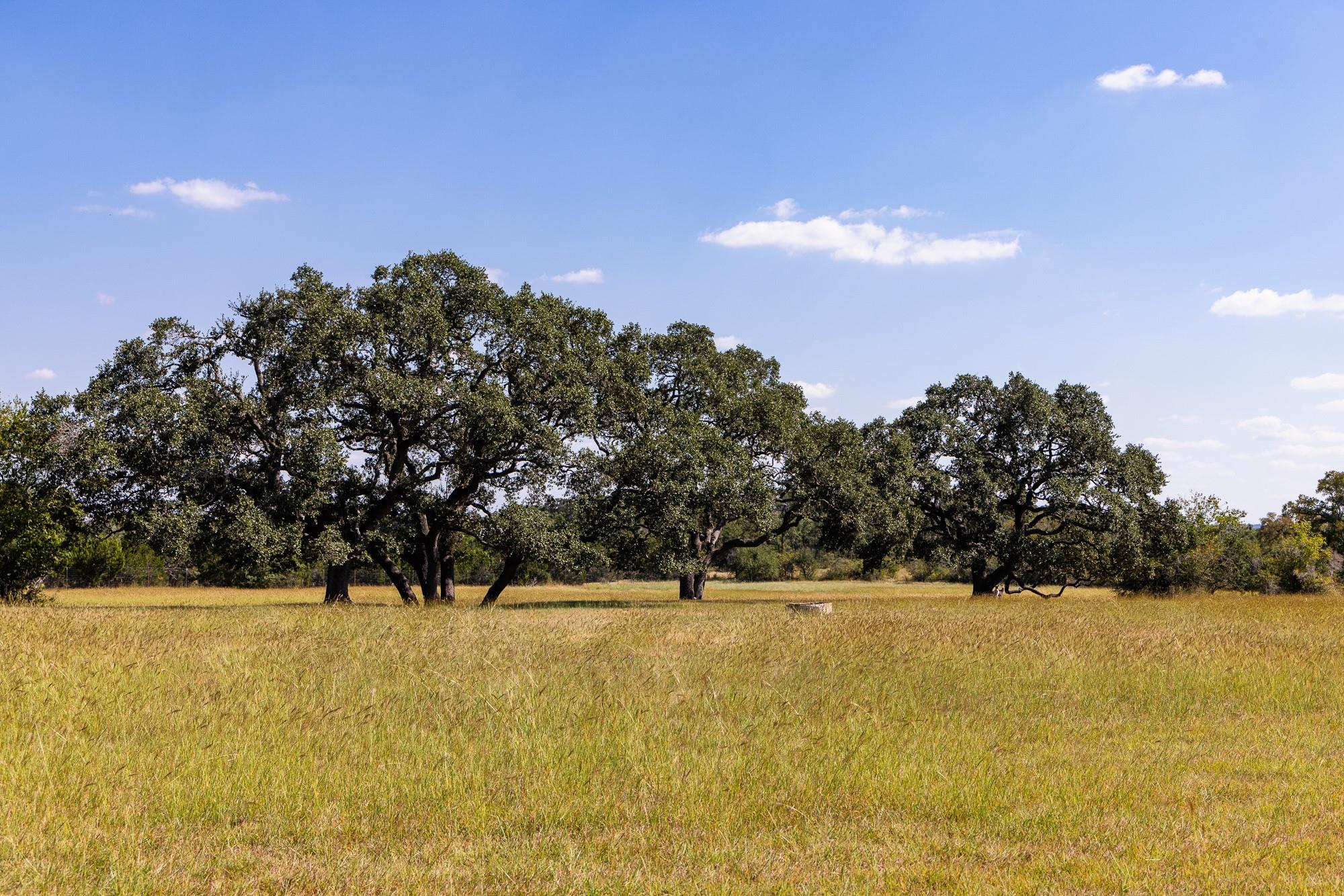 3551 RM 2325, Wimberley, TX 78676