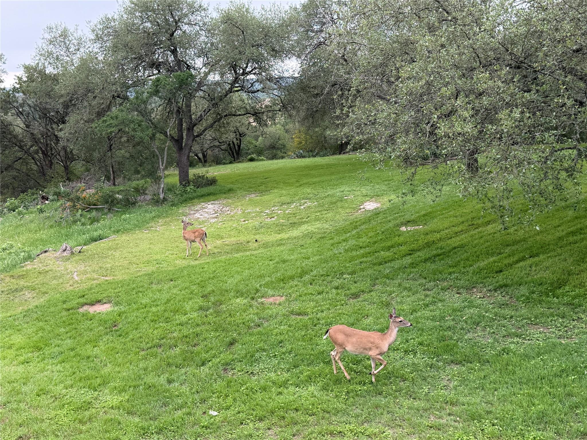 10306 D K Ranch Rd, Austin, TX 78759