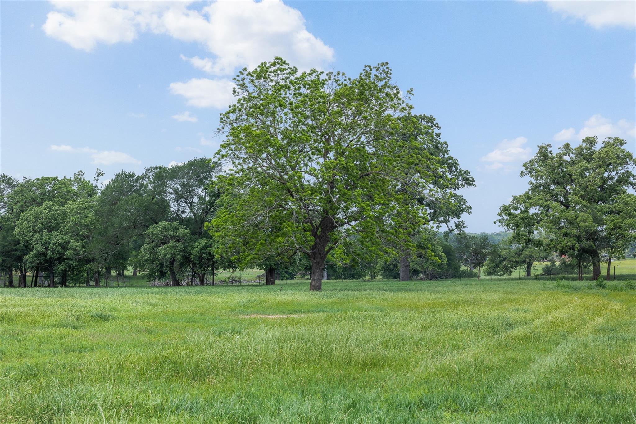 1016 County Road 306, Rockdale, TX 76567