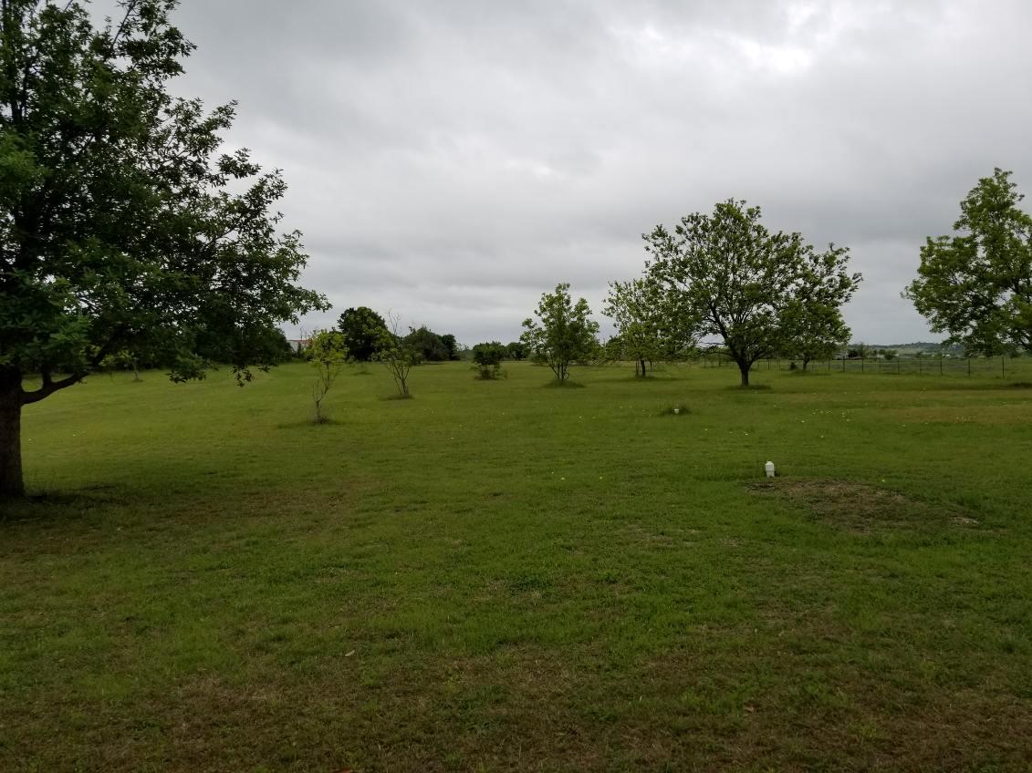 2985 County Road 426, Thrall, TX 76578