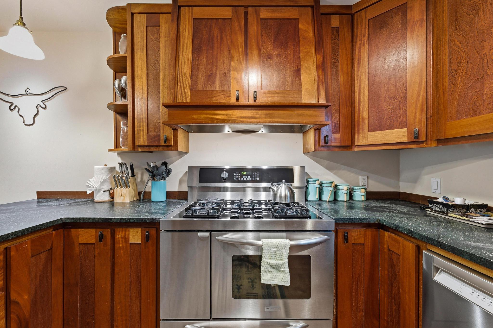 2110 De Verne St, Austin, TX 78704