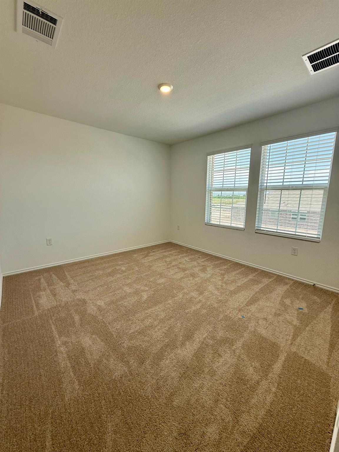306 Camargue Drive, Hutto, TX 78634