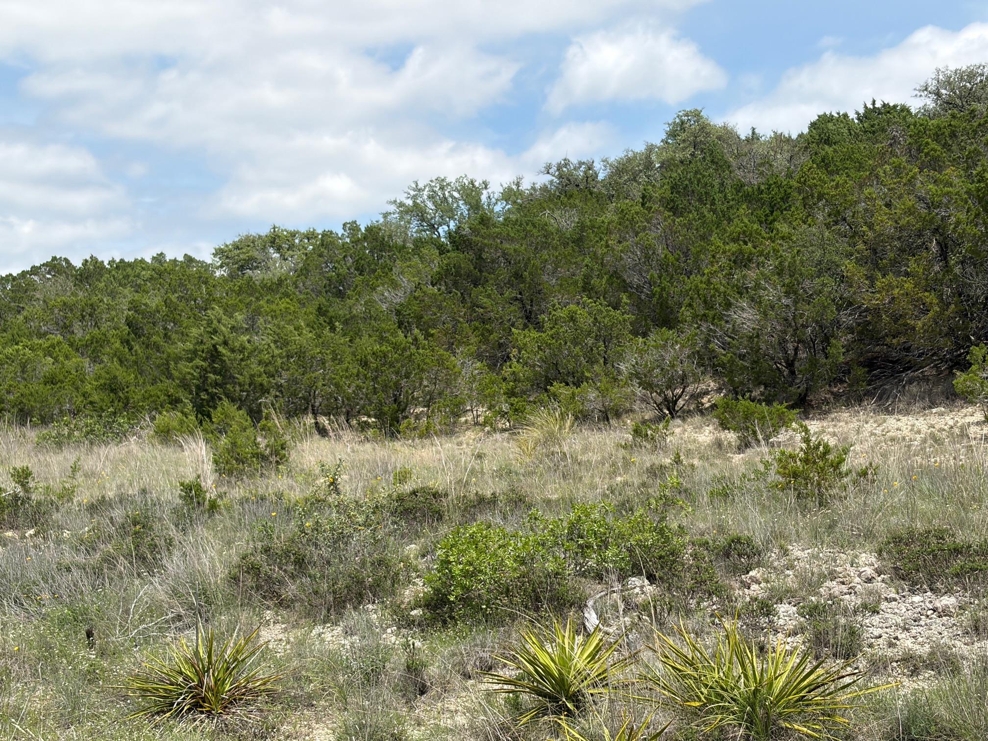 4213 Crawford Rd, Spicewood, TX 78669