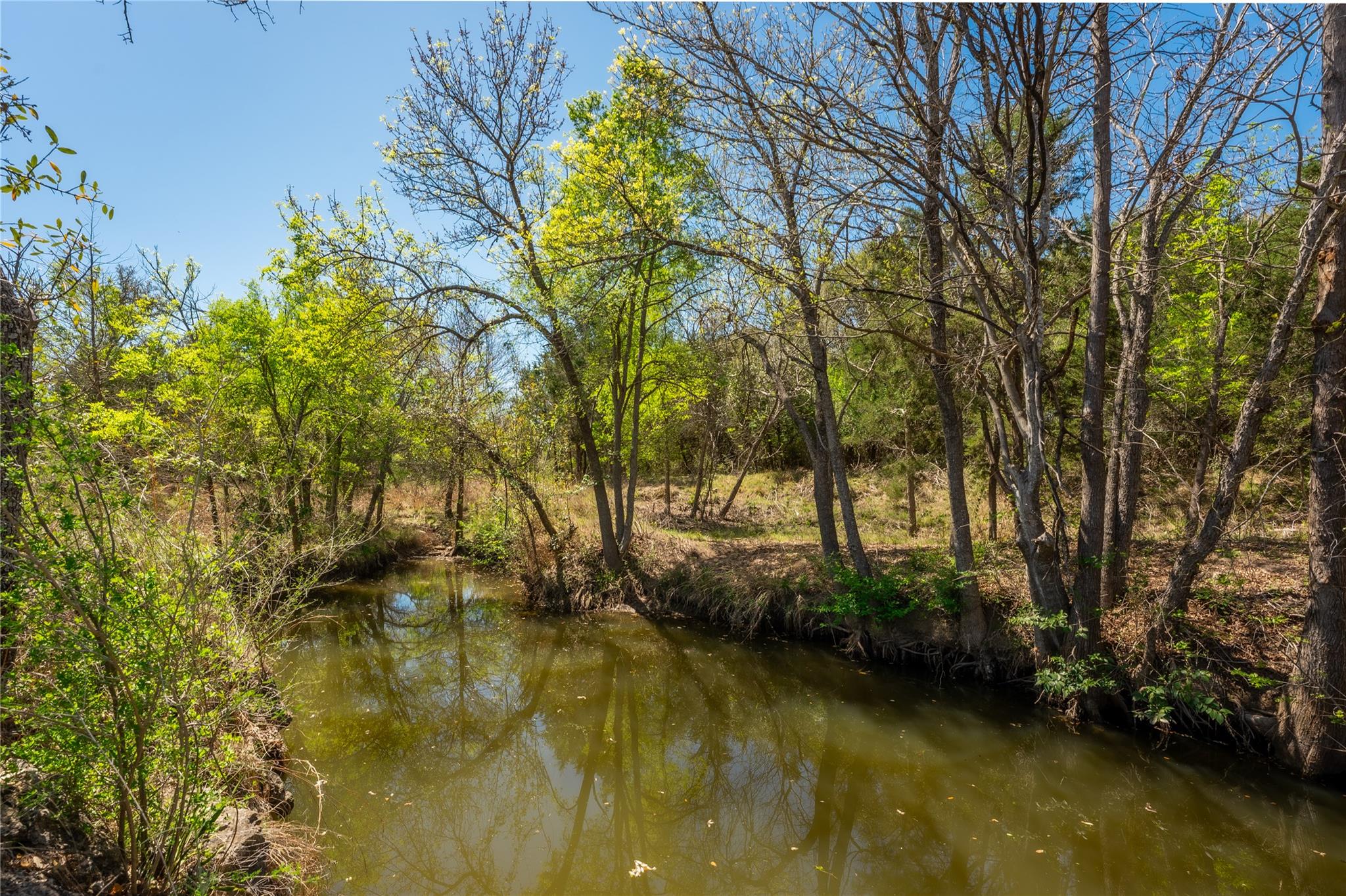 115 Legacy Oaks Ranch Dr, Johnson City, TX 78636
