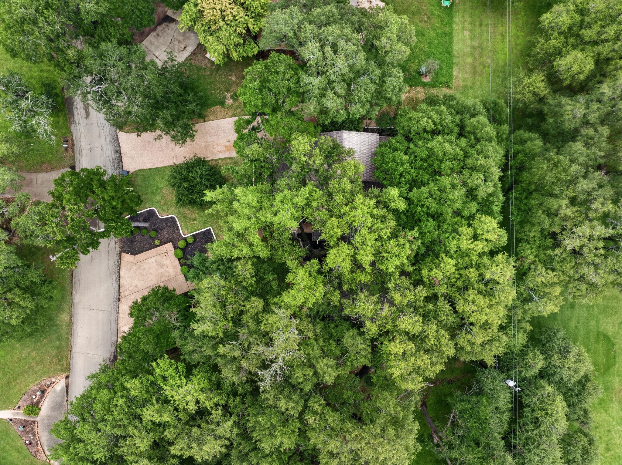 1301 Mill Creek Dr, Salado, TX 76571