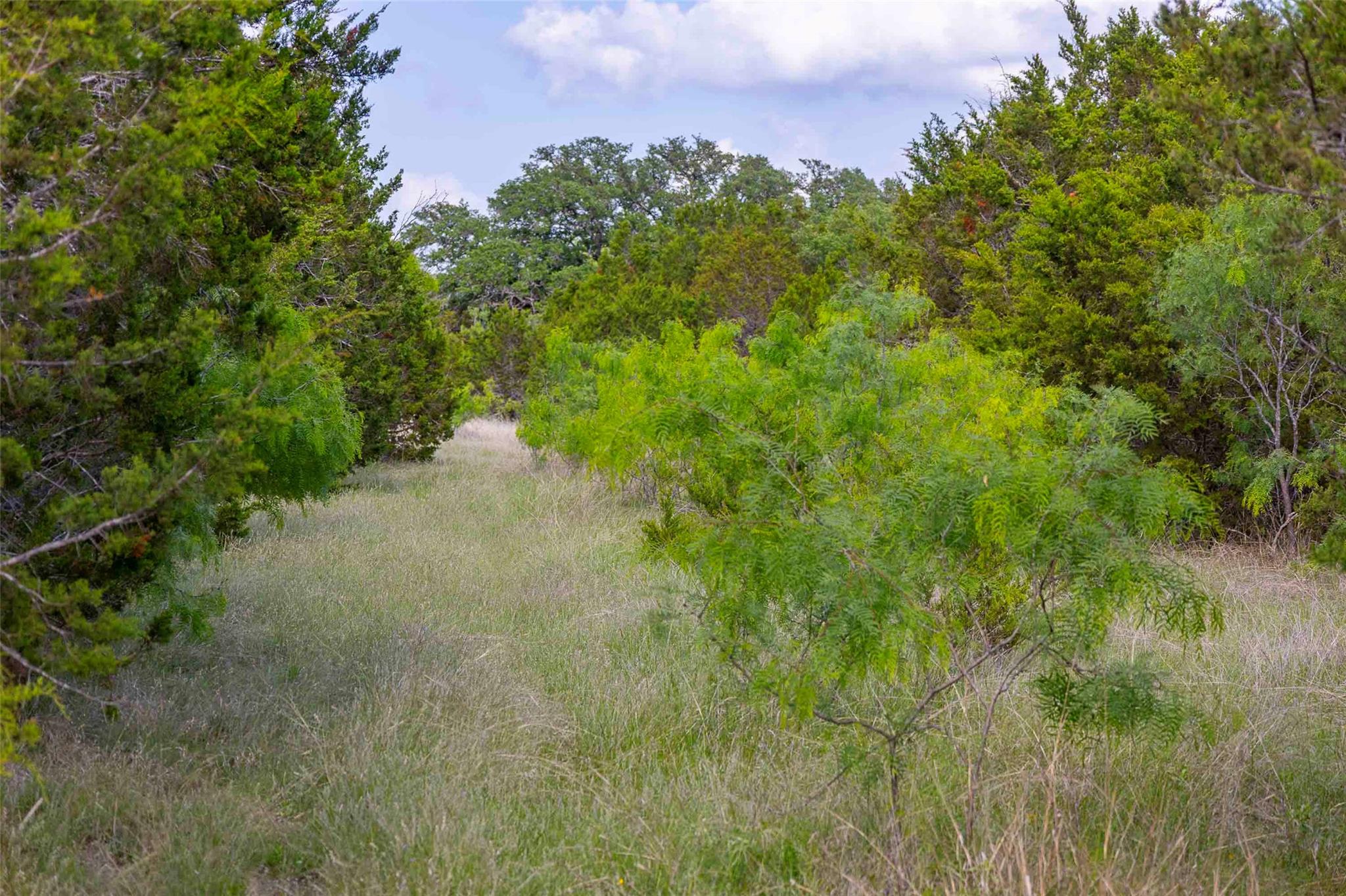 Lot 29 Alta Vista Dr, Lampasas, TX 76550