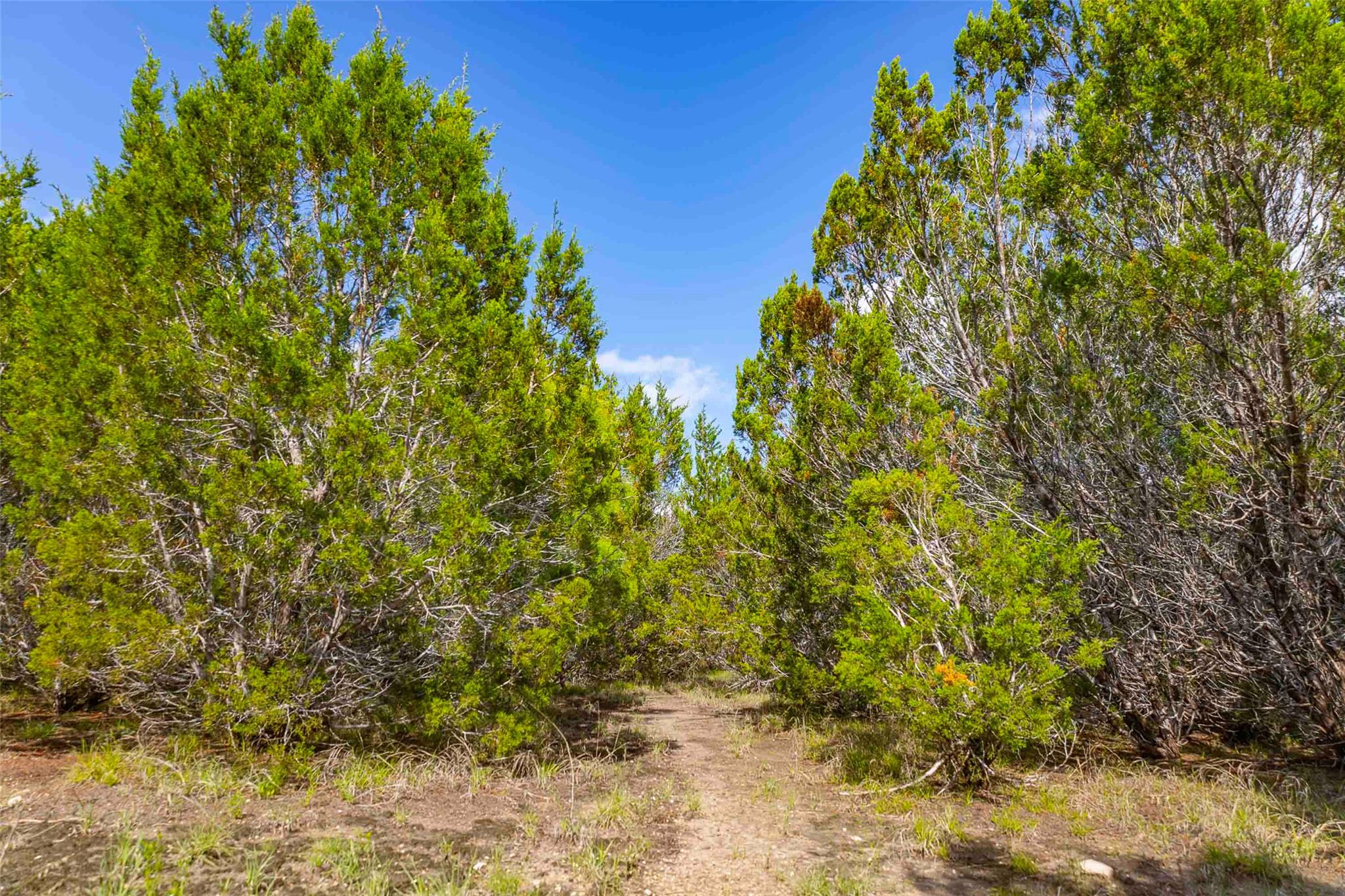 Lot 29 Alta Vista Dr, Lampasas, TX 76550