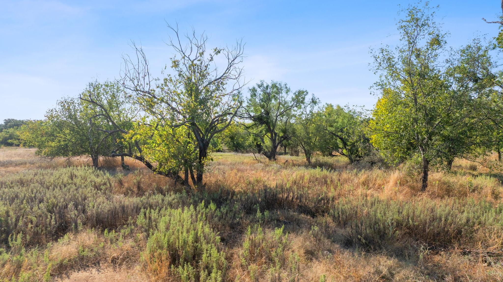 TBD Village Ln, Llano, TX 78643