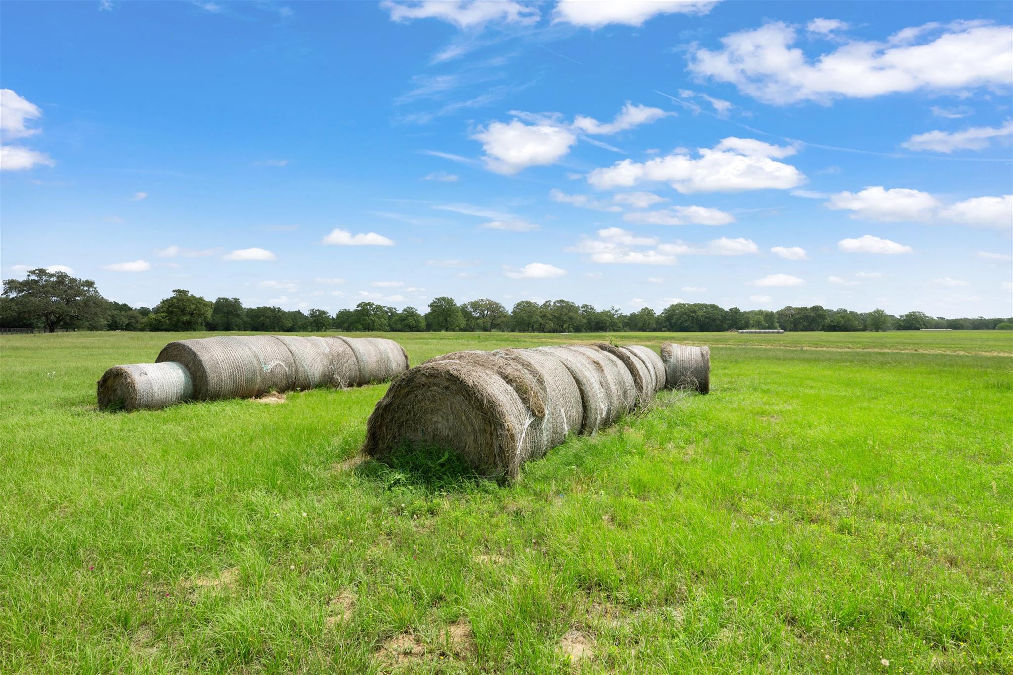1304 E State Highway 71, West Point, TX 78963