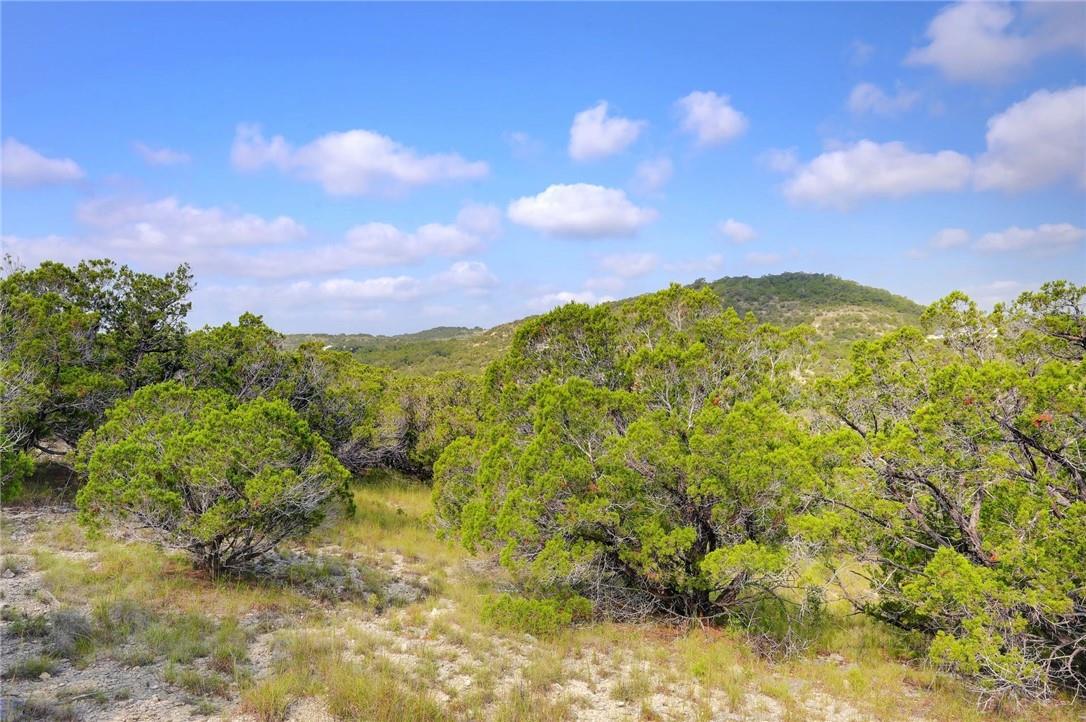 Lot 129 & 130 Lynx Cove Rd, Blanco, TX 78606