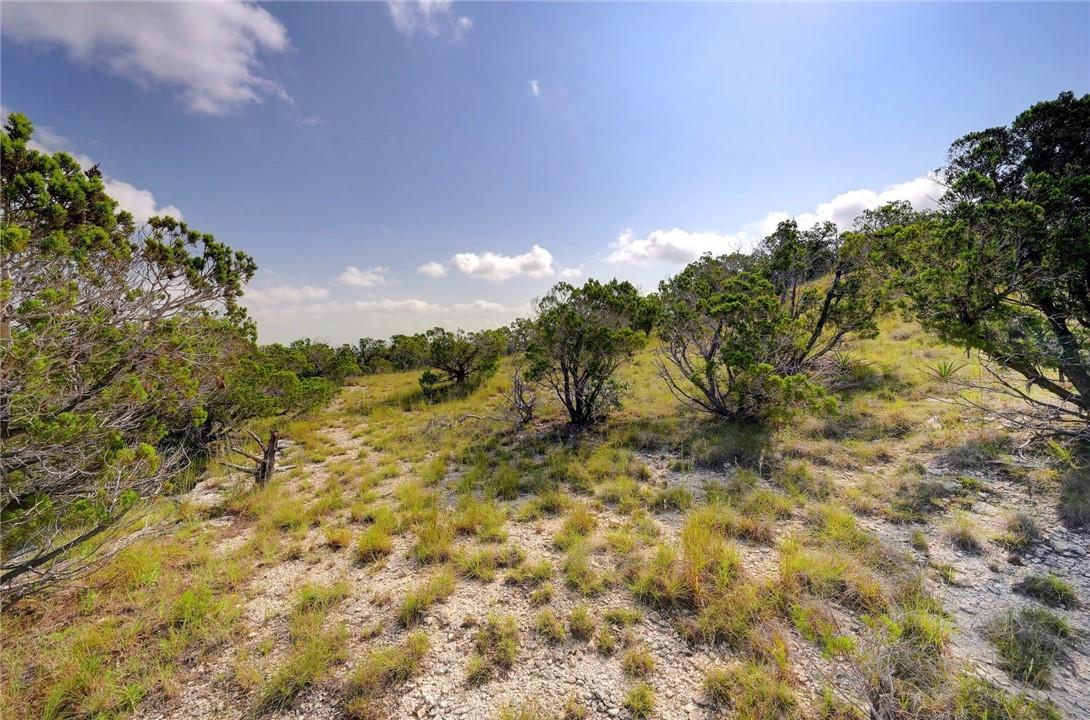 Lot 129 & 130 Lynx Cove Rd, Blanco, TX 78606