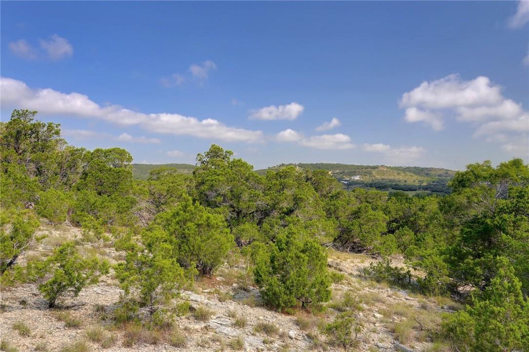 Lot 129 & 130 Lynx Cove Rd, Blanco, TX 78606