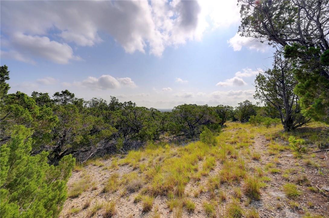 Lot 129 & 130 Lynx Cove Rd, Blanco, TX 78606