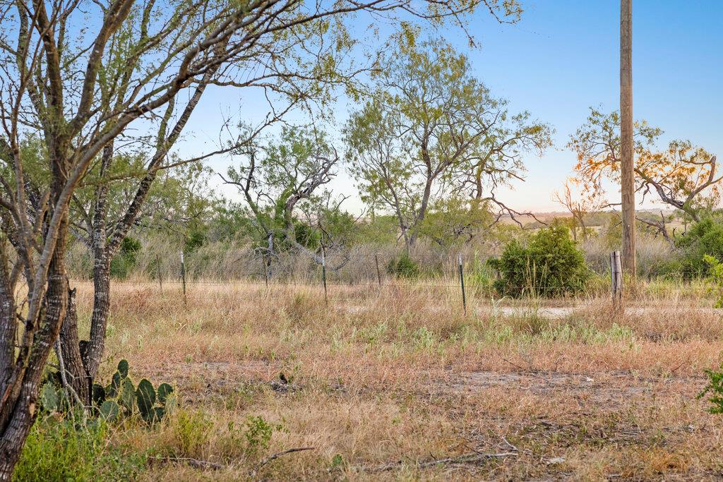 6 CR 171, Nixon, TX 78140