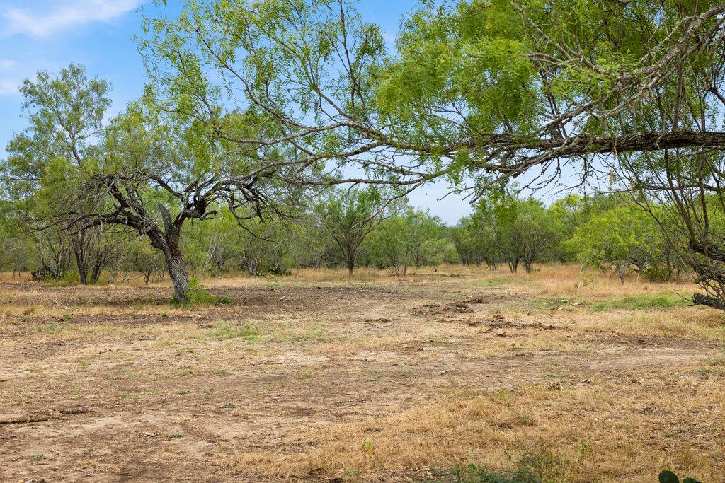 6 CR 171, Nixon, TX 78140