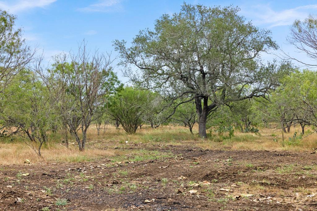 6 CR 171, Nixon, TX 78140
