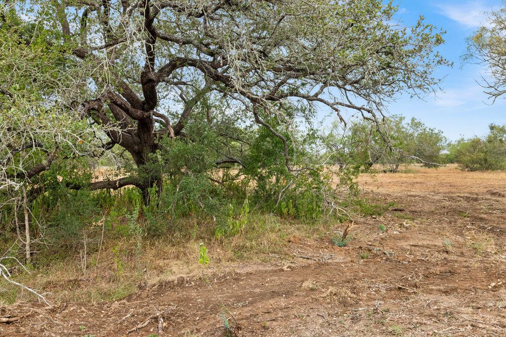 6 CR 171, Nixon, TX 78140