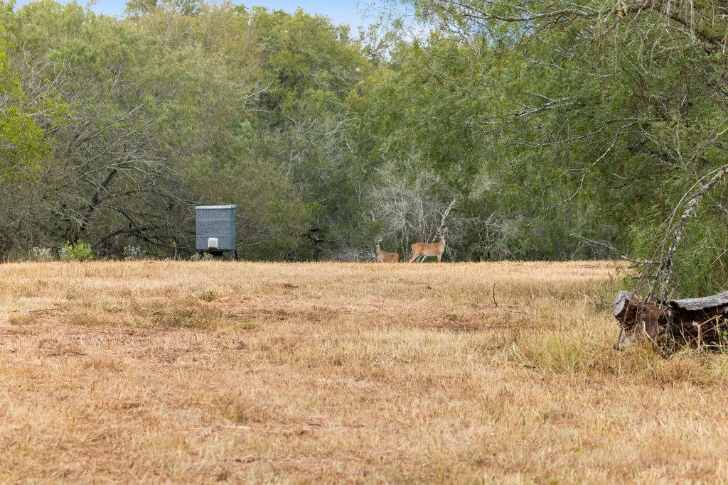 6 CR 171, Nixon, TX 78140