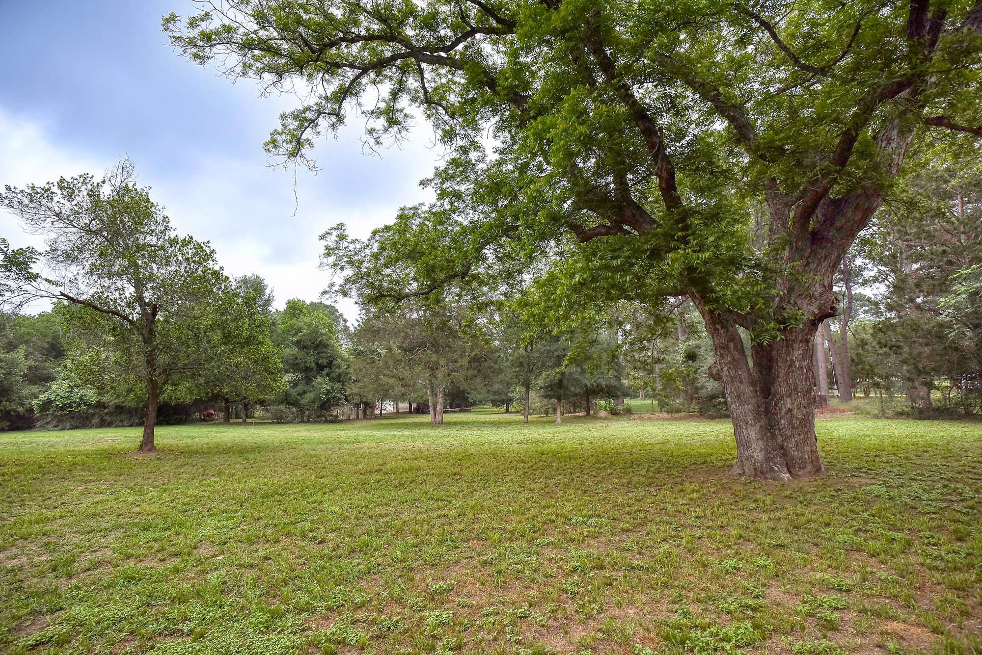 115 Mesquite Cv, Bastrop, TX 78602