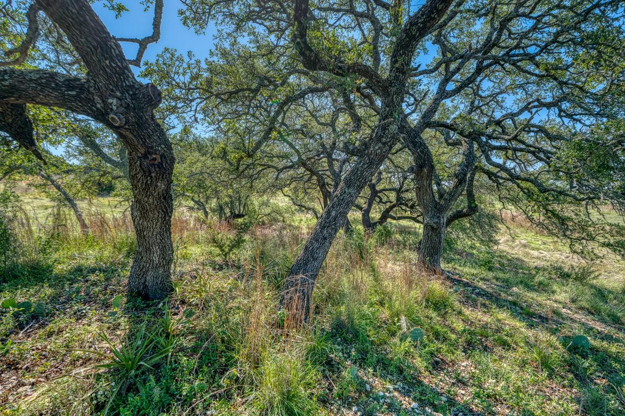 Lot 16 Sable Pass, Lampasas, TX 76550